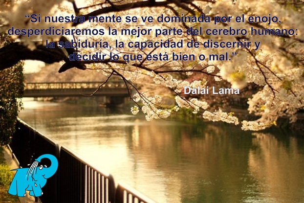 Una Enseñanza del Dalai Lama en la Frase del Día del Elefante Azul de Avilés.